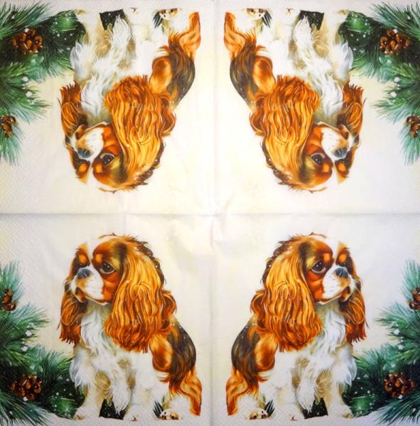 919 Dogs - 3-ply - Specials